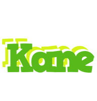 Kane picnic logo