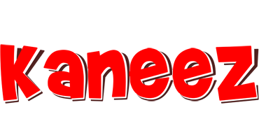 Kaneez basket logo