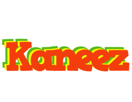 Kaneez bbq logo