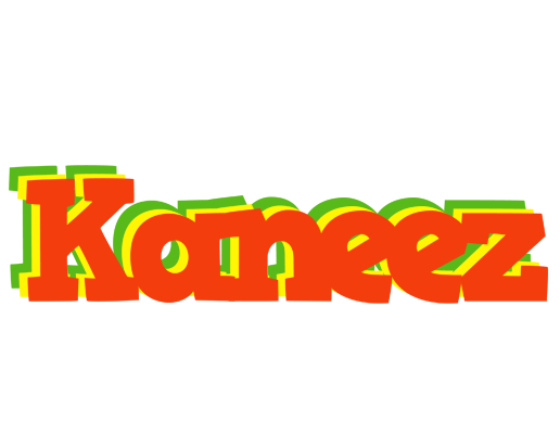 Kaneez bbq logo
