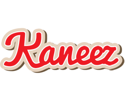 Kaneez chocolate logo