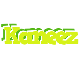 Kaneez citrus logo