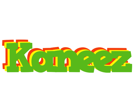 Kaneez crocodile logo