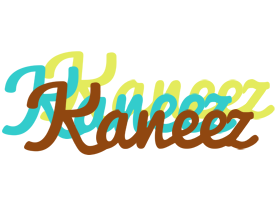 Kaneez cupcake logo