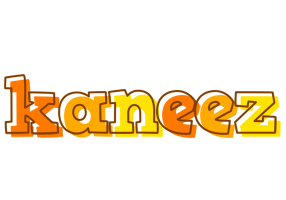 Kaneez desert logo