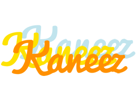 Kaneez energy logo