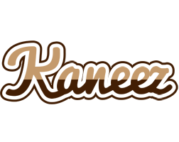 Kaneez exclusive logo