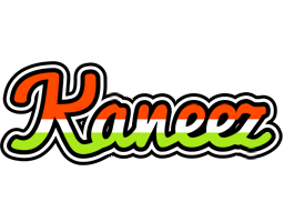 Kaneez exotic logo