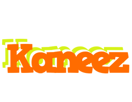 Kaneez healthy logo