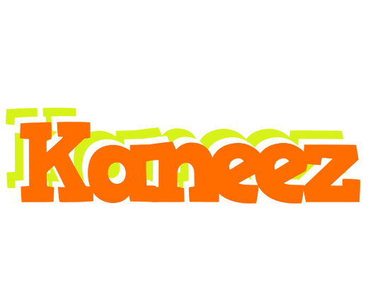 Kaneez healthy logo