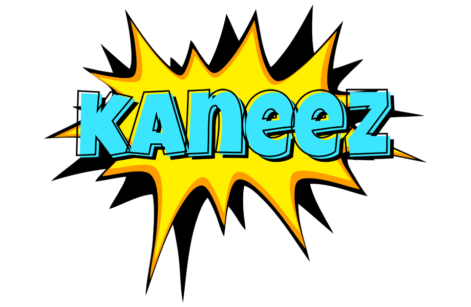 Kaneez indycar logo