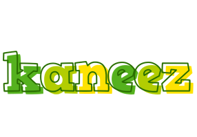 Kaneez juice logo