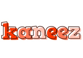 Kaneez paint logo