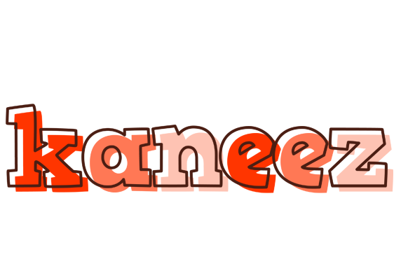Kaneez paint logo