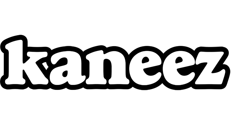Kaneez panda logo