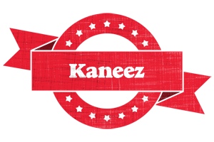 Kaneez passion logo