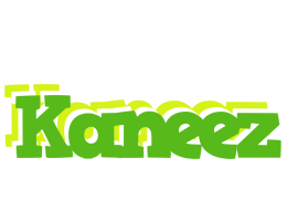 Kaneez picnic logo