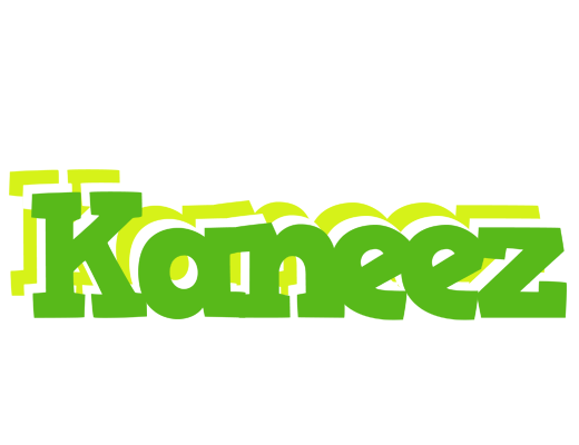 Kaneez picnic logo