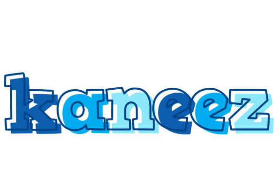 Kaneez sailor logo