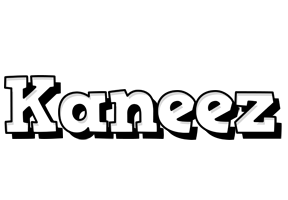 Kaneez snowing logo