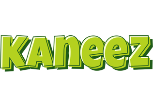 Kaneez summer logo