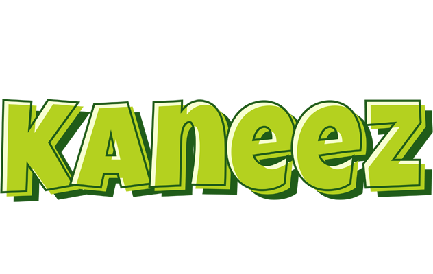 Kaneez summer logo