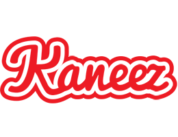 Kaneez sunshine logo