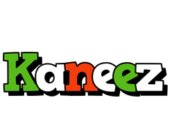 Kaneez venezia logo