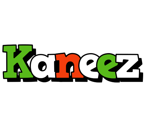 Kaneez venezia logo