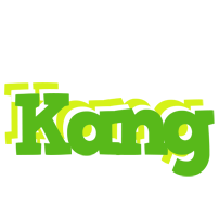 Kang picnic logo