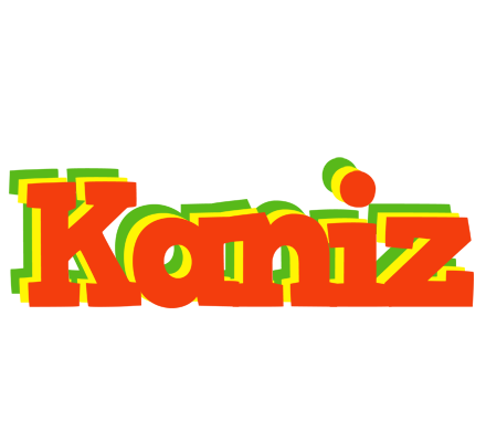 Kaniz bbq logo