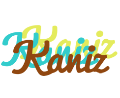 Kaniz cupcake logo