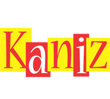 Kaniz errors logo