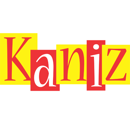 Kaniz errors logo