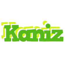 Kaniz picnic logo