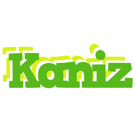 Kaniz picnic logo
