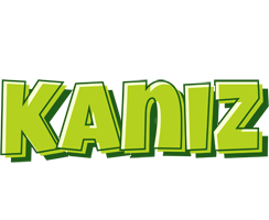 Kaniz summer logo