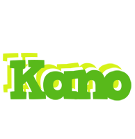 Kano picnic logo