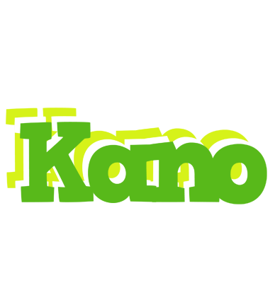 Kano picnic logo