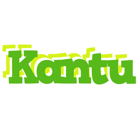 Kantu picnic logo