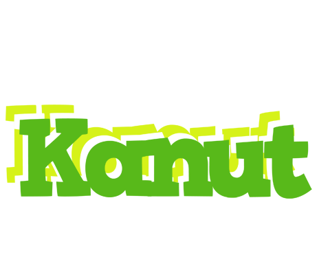 Kanut picnic logo