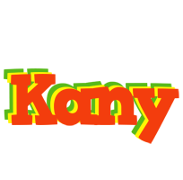 Kany bbq logo