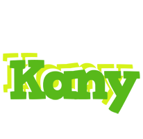 Kany picnic logo