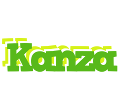 Kanza picnic logo