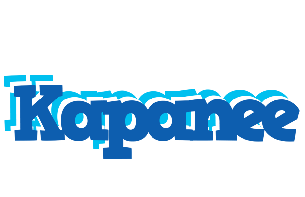 Kapanee business logo