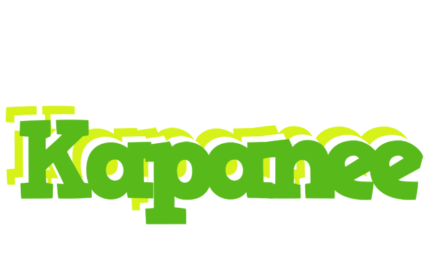 Kapanee picnic logo