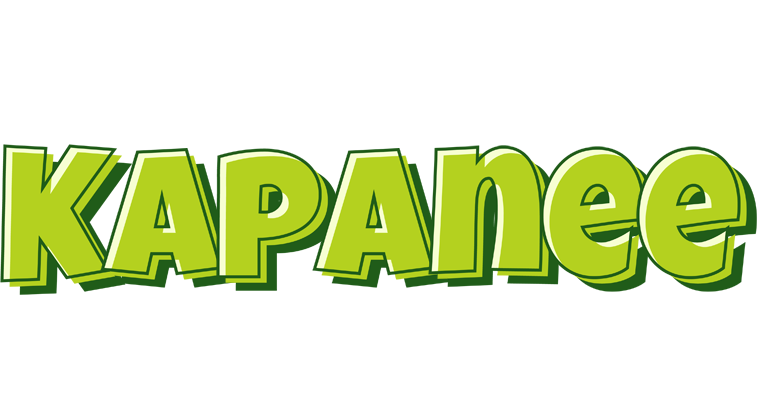Kapanee summer logo