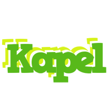 Kapel picnic logo