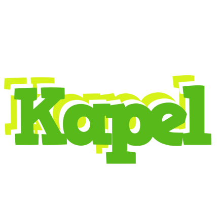 Kapel picnic logo