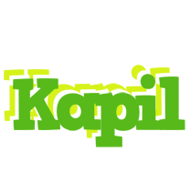 Kapil picnic logo